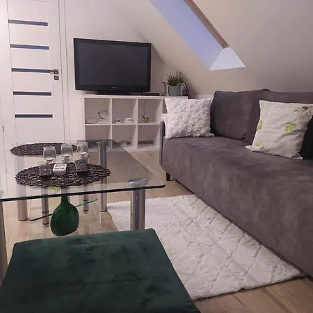 Apartment/mieszkanie U Janusza