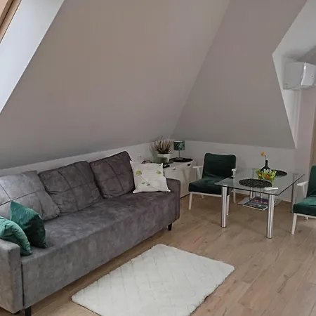 Apartment/mieszkanie U Janusza *