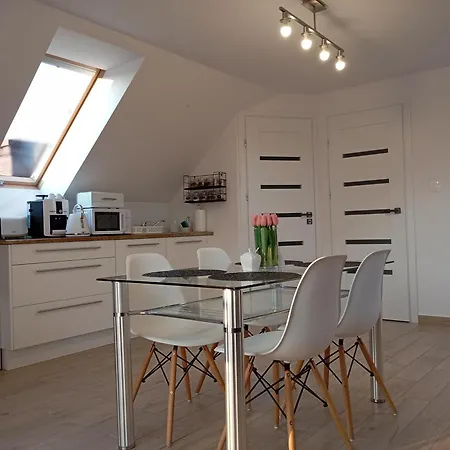 Apartment/mieszkanie U Janusza Lägenhet *