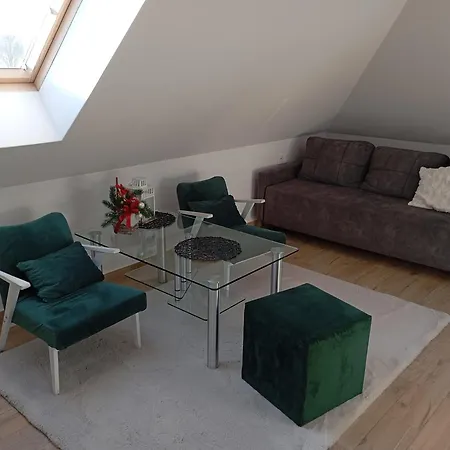 Apartment/mieszkanie U Janusza アパート Grybów