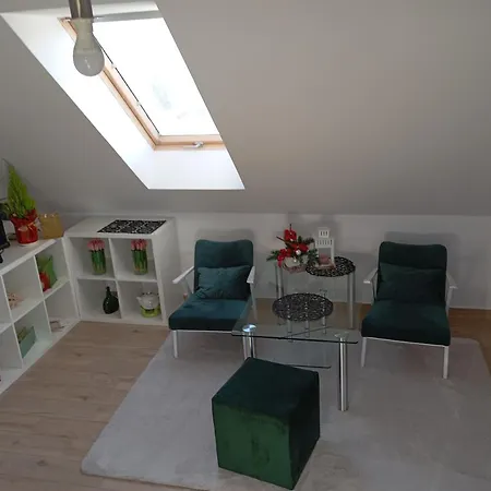 Apartment/mieszkanie U Janusza アパート